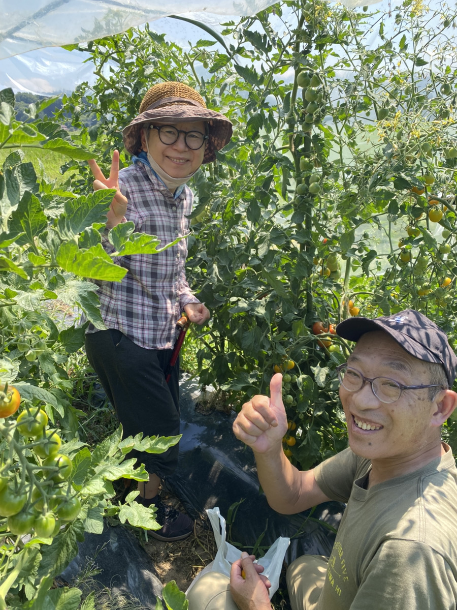 畑でトマトを育てる、笑顔の二人